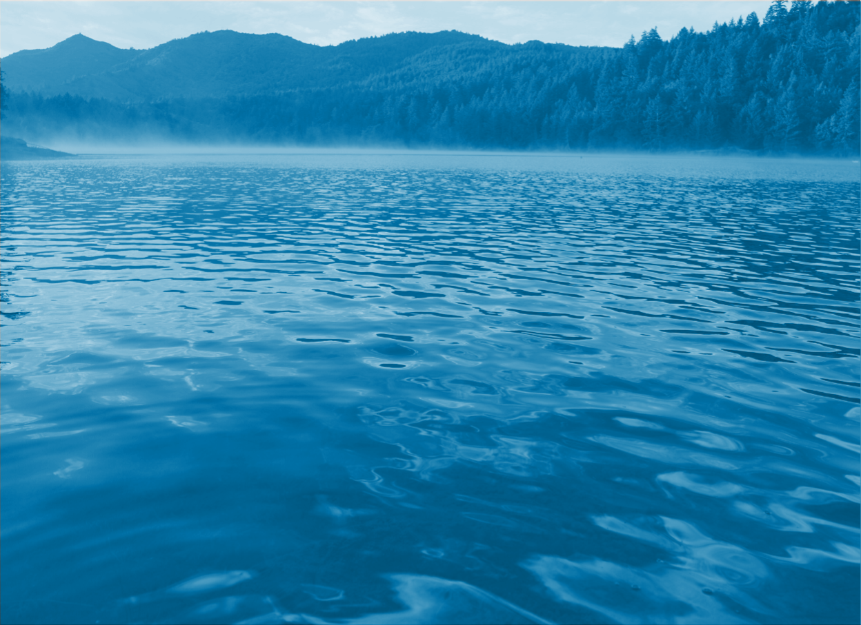 Marin water on sale watch